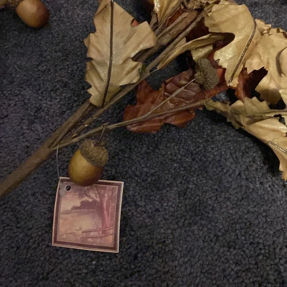 NWT Set of 6 fall acorn picks